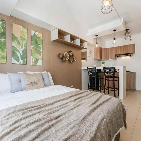 Furnished Studio In Avida Towers Riala, Cebu It Park With Pool, Fast Wifi, Netflix And More